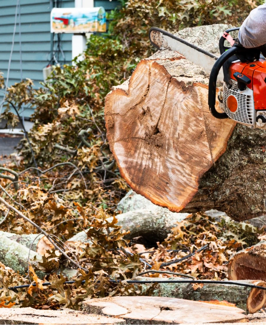 storm cleanup service